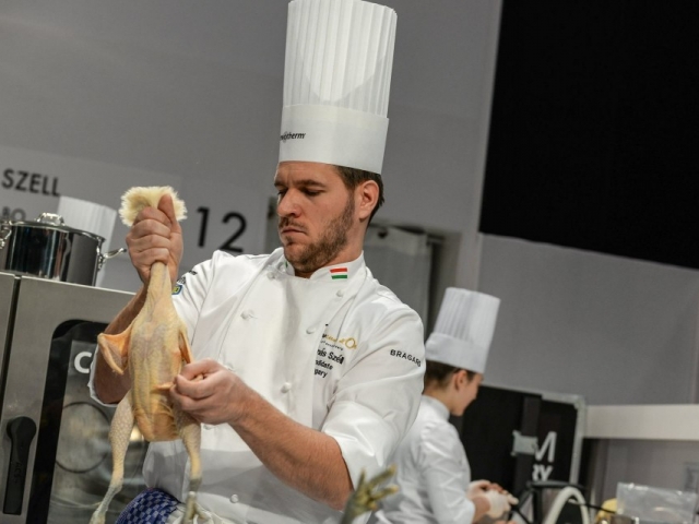 Van esély magyar győzelemre