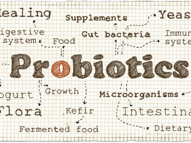 A probiotikumok valóban támogatják a fogyást?