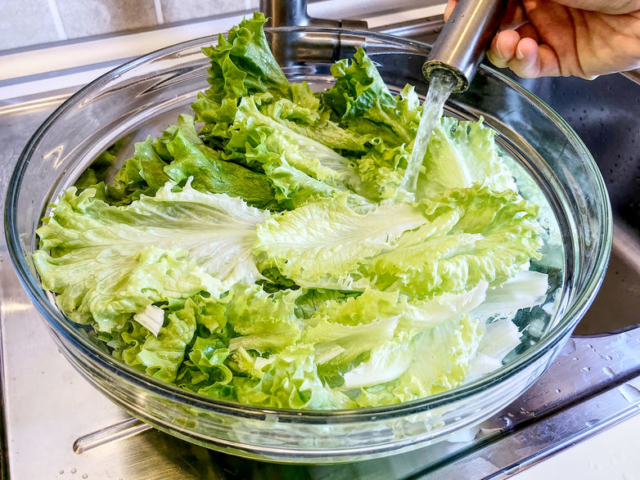 Hogyan kell megfelelően megmosni a salátát?