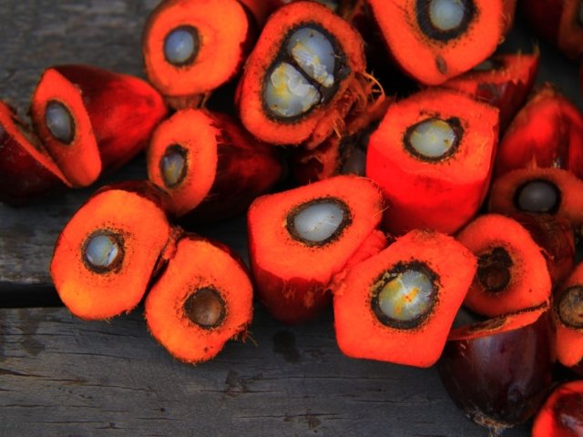 Pálmaolaj-tévhitek