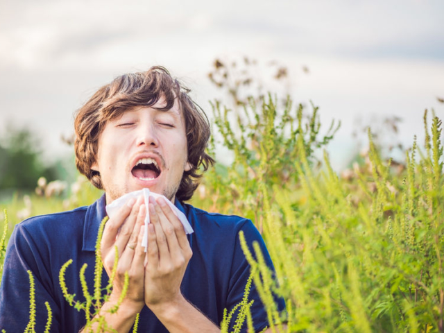 Allergia augusztusban – ezért nehéz a nyár utolsó hónapja