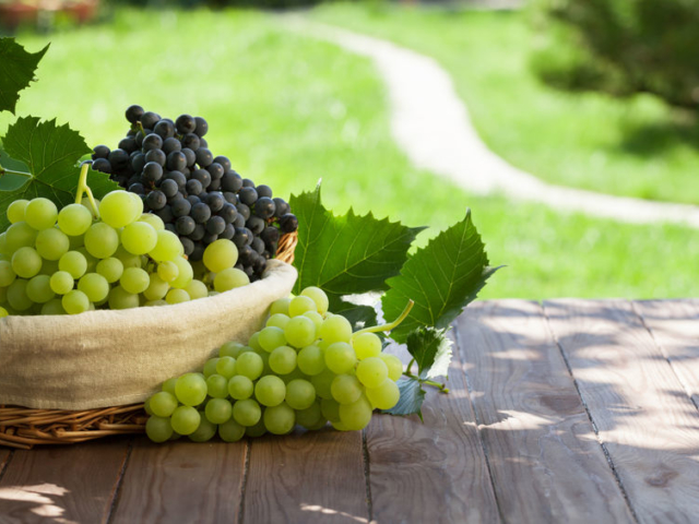 Őszi kedvencünk, a szőlő – mutatjuk, miért roppant egészséges