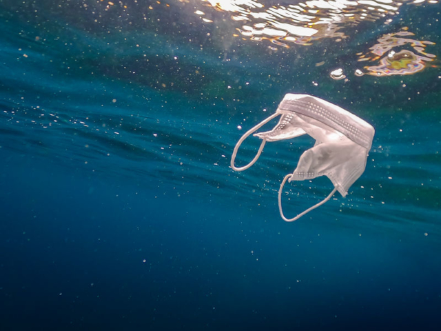 Lassan több eldobott maszk lesz a Földközi-tengerben, mint medúza?!